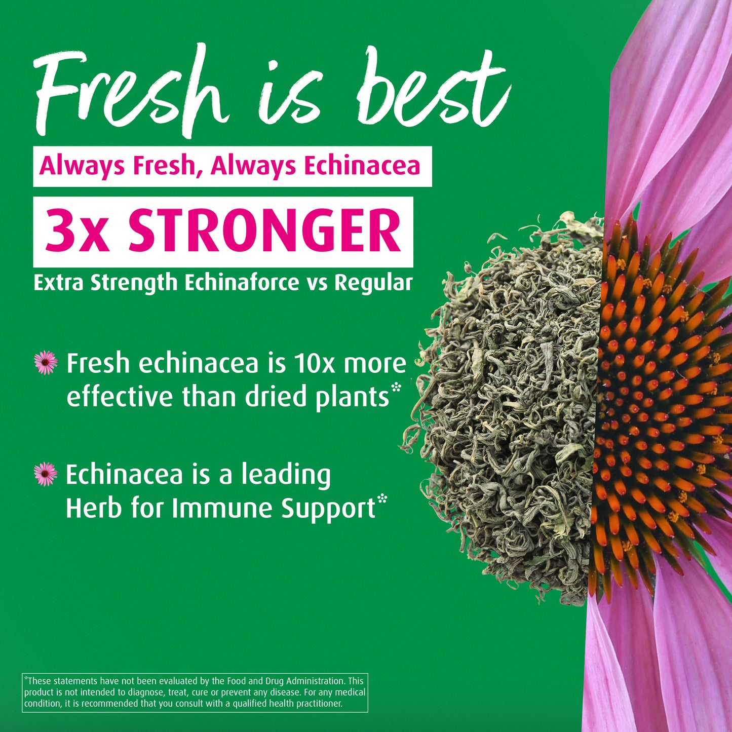 Echinaforce Extra Strength Tablets - A. Vogel USA