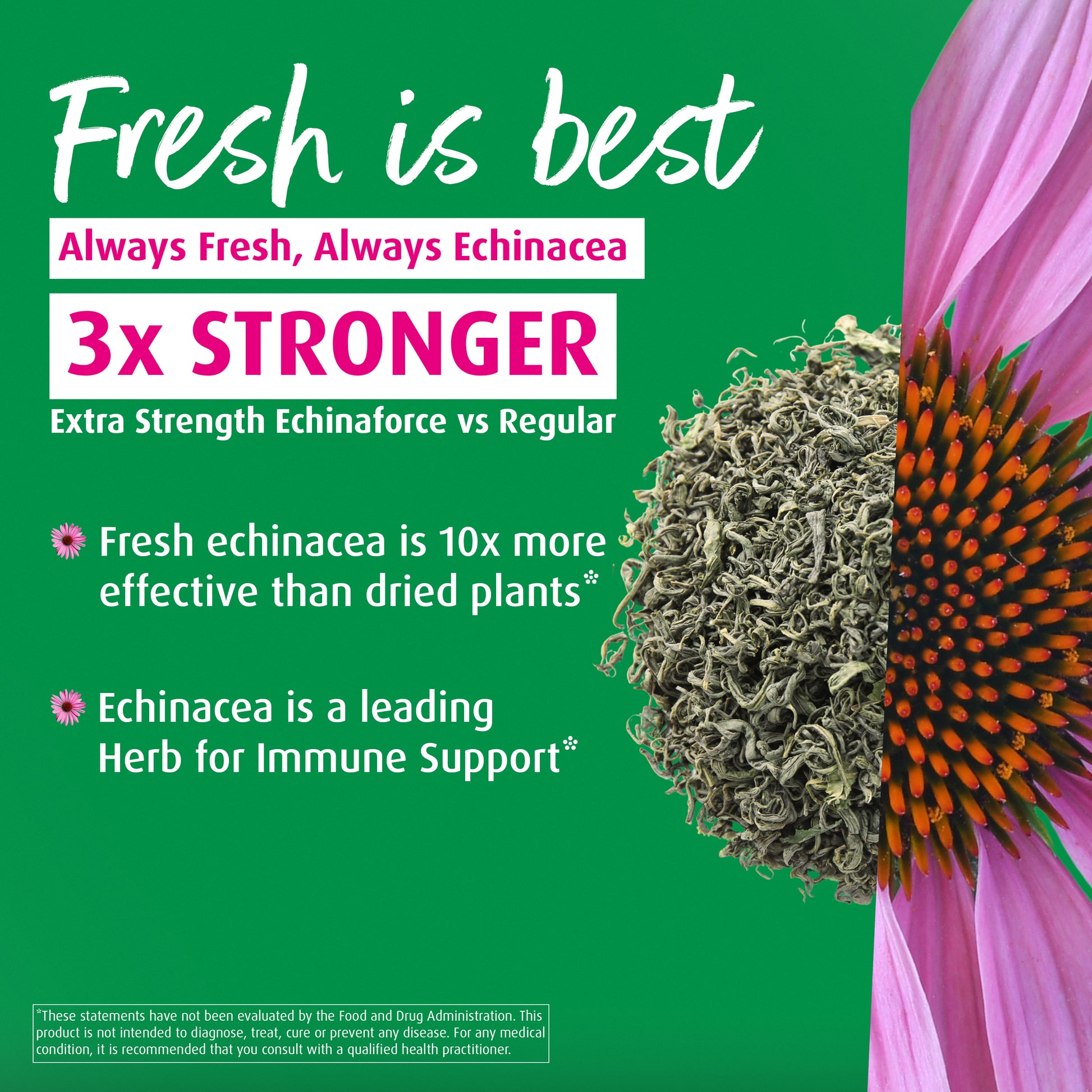 Echinaforce Extra Strength Tablets - A. Vogel USA