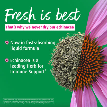 Echinforce Liquid Drops - A. Vogel USA