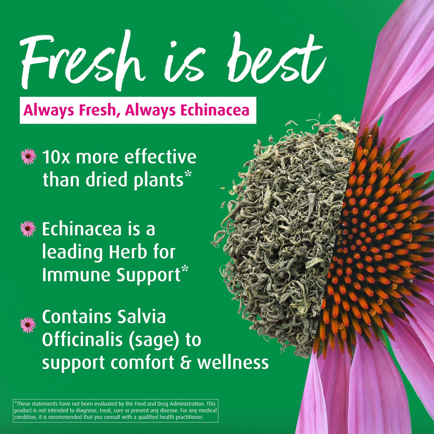 Echinaforce Immune Spray - A. Vogel USA