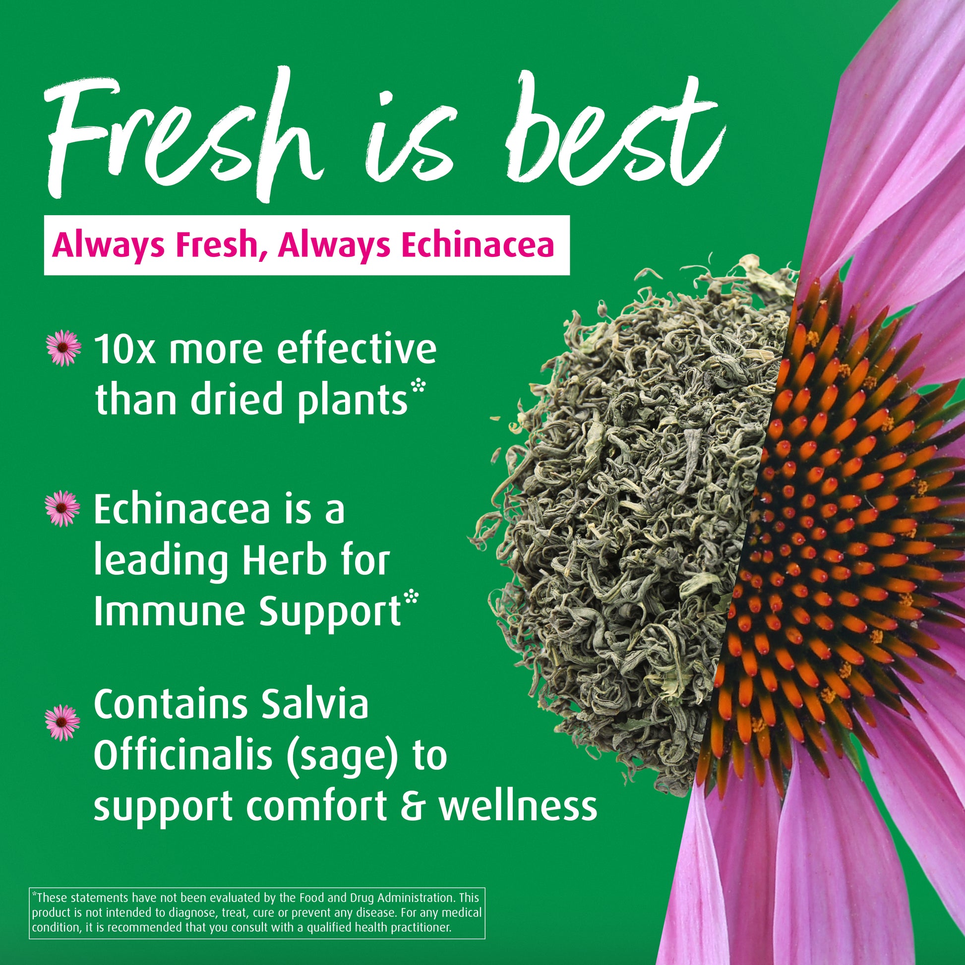 Echinaforce Immune Spray - A. Vogel USA
