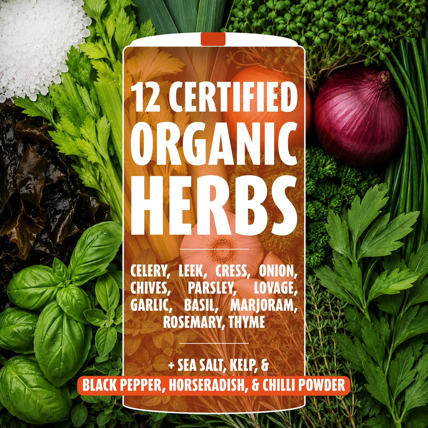 8.8oz Spicy Herbed Salt