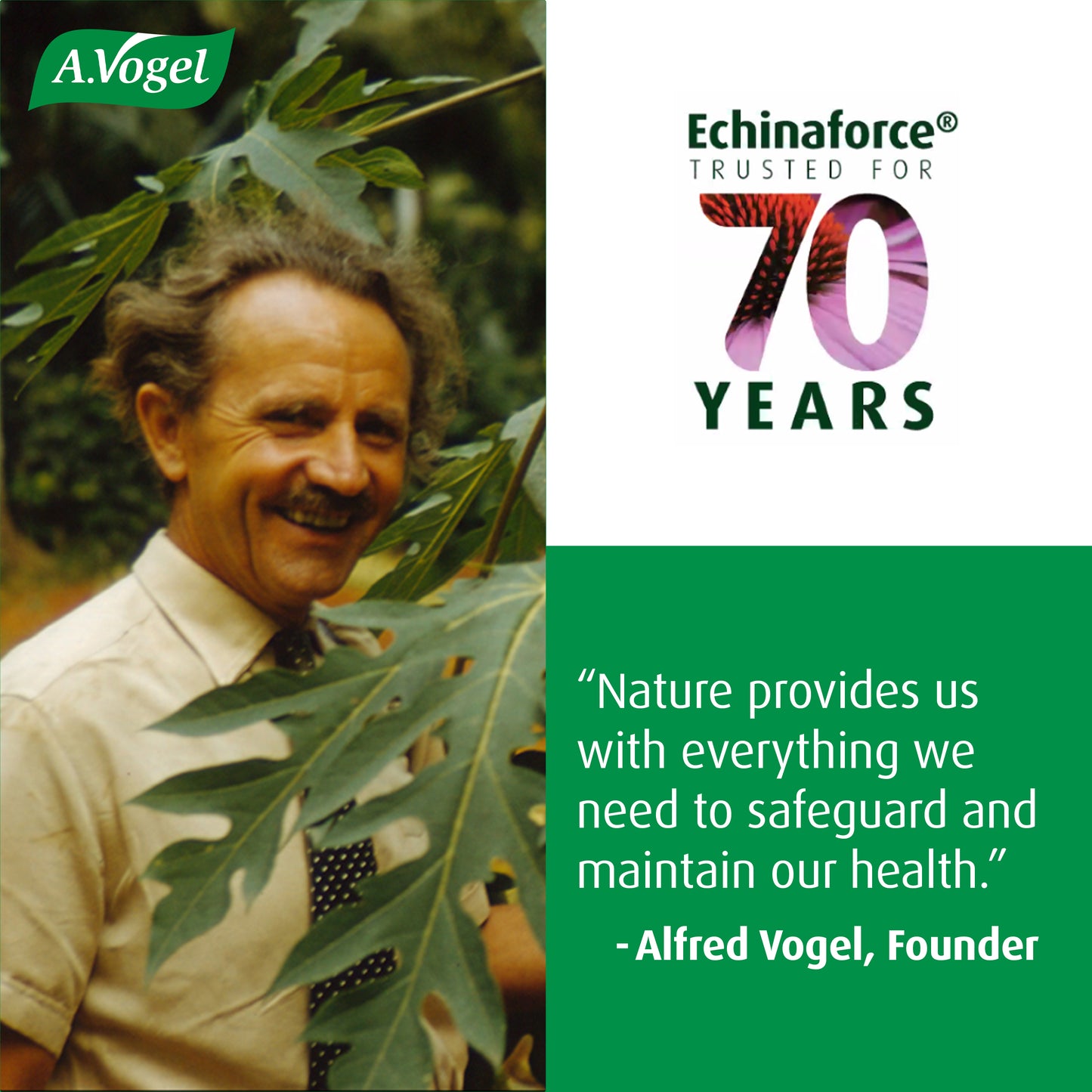 Echinaforce Extra Strength Tablets - A. Vogel USA