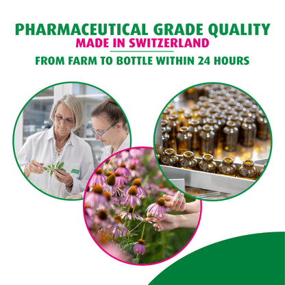 Echinforce Liquid Drops - A. Vogel USA