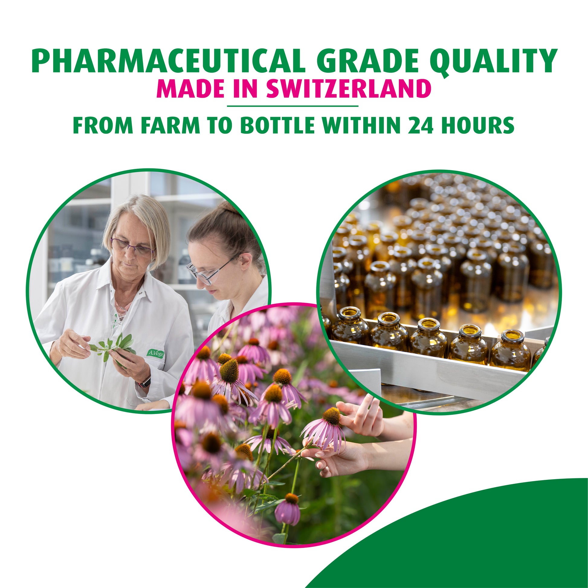 Echinaforce Extra Strength Tablets - A. Vogel USA