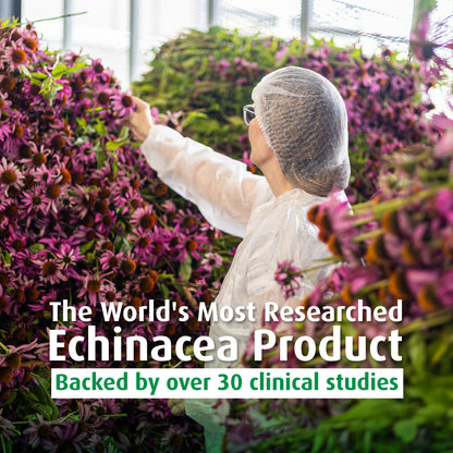 Echinaforce Tablets - A. Vogel USA