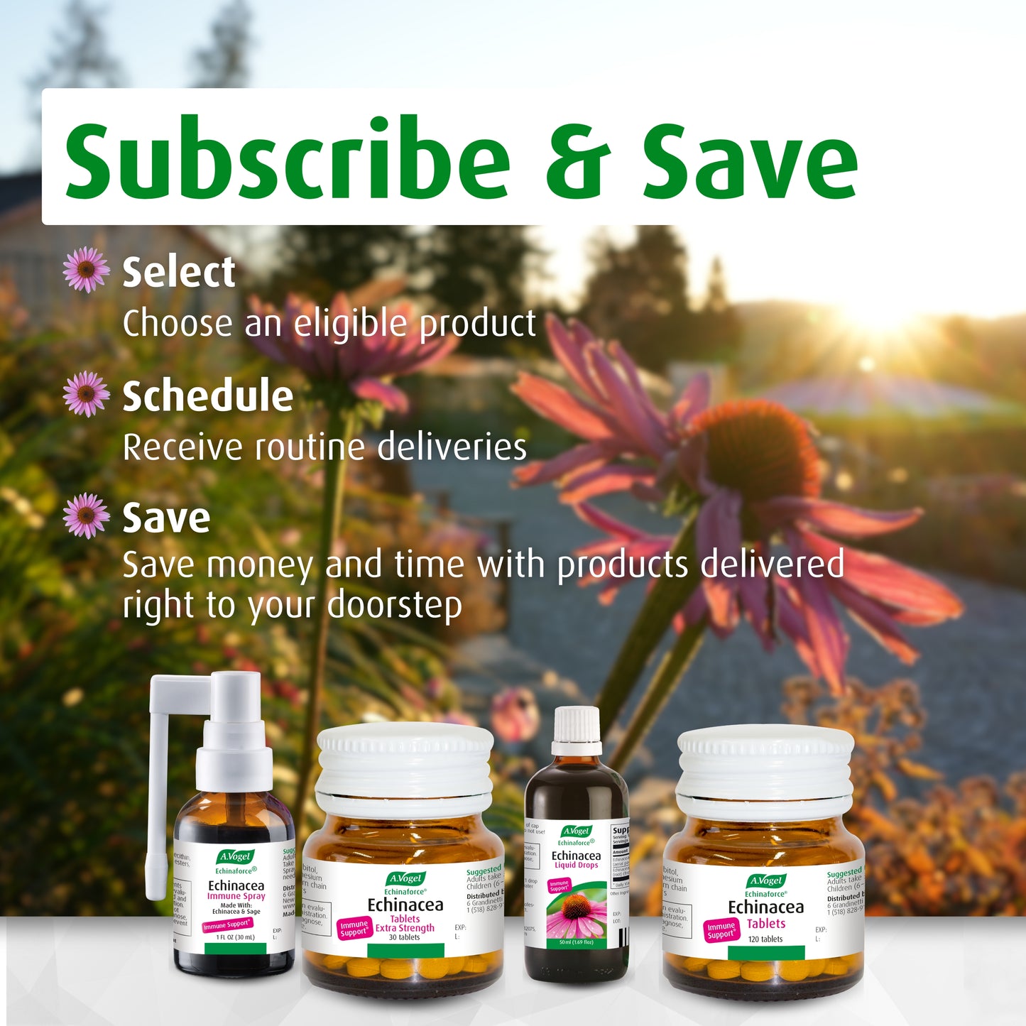 Echinaforce Extra Strength Tablets - A. Vogel USA